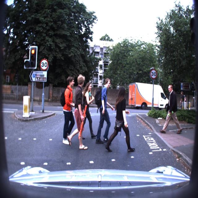 Dataset Image
