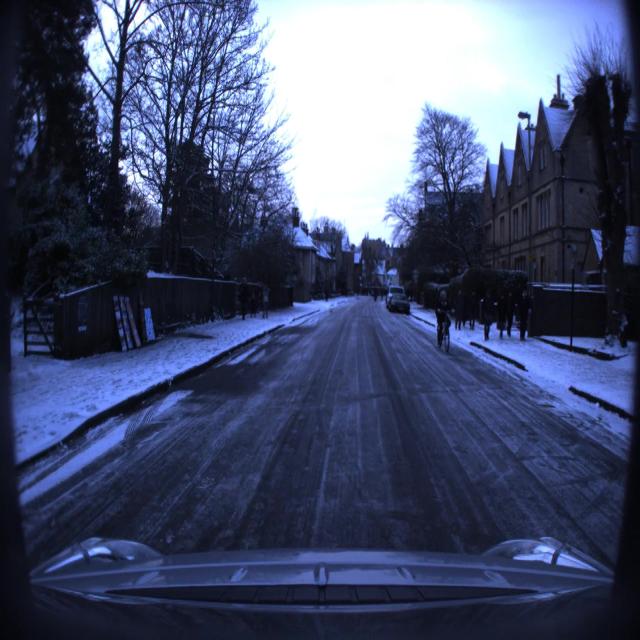 Dataset Image