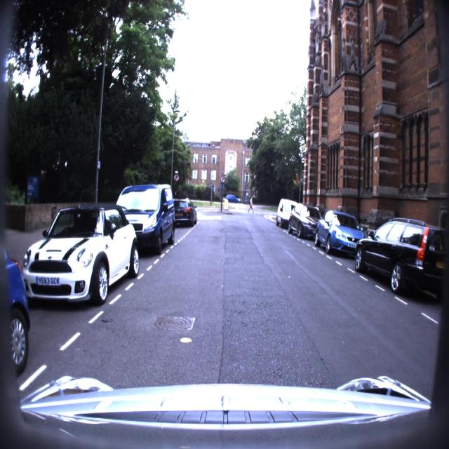 Dataset Image