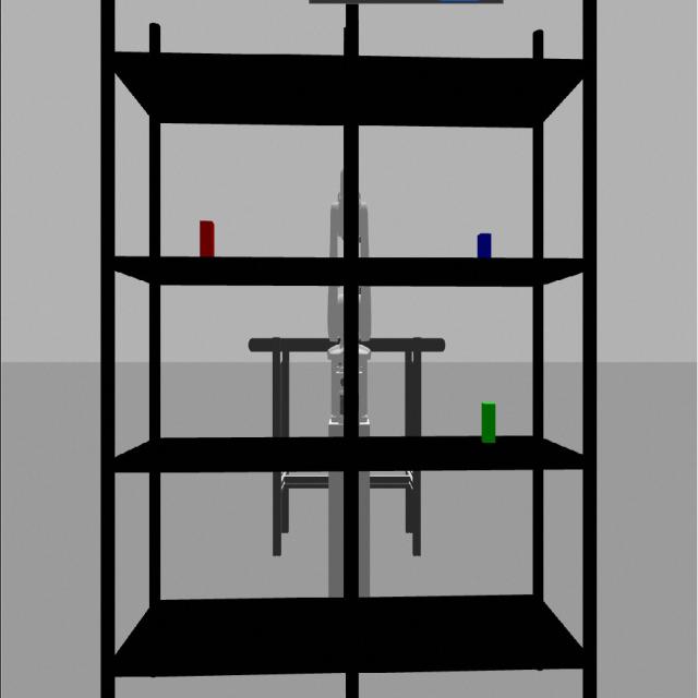 Dataset Image