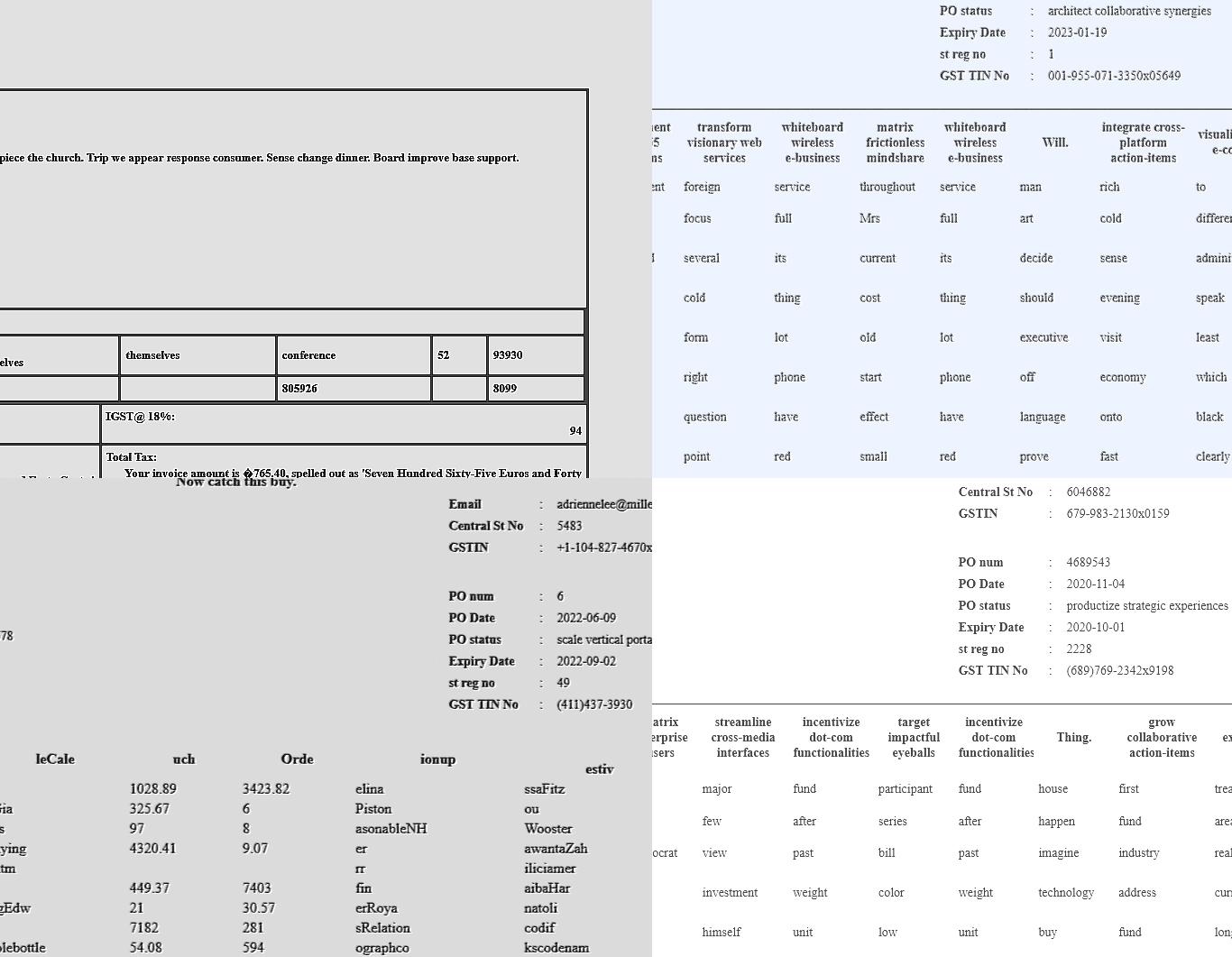 Dataset Image