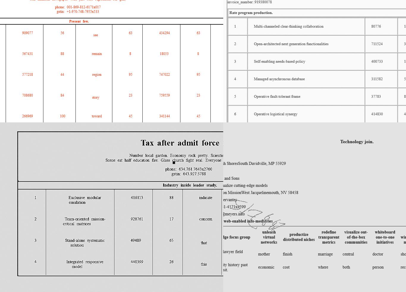 Dataset Image