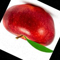 Dataset Image