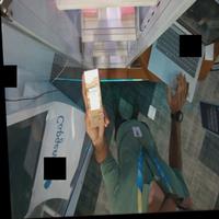 Dataset Image