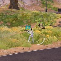 Dataset Image