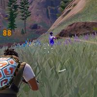 Dataset Image
