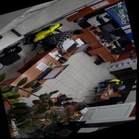 Dataset Image