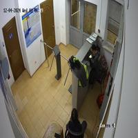 Dataset Image