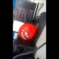 Dataset Image