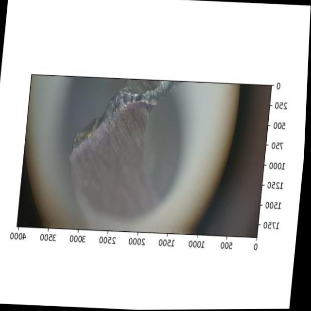 Dataset Image