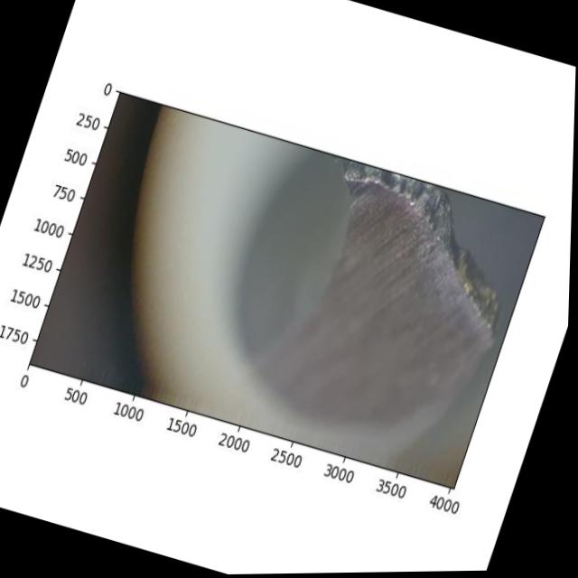 Dataset Image