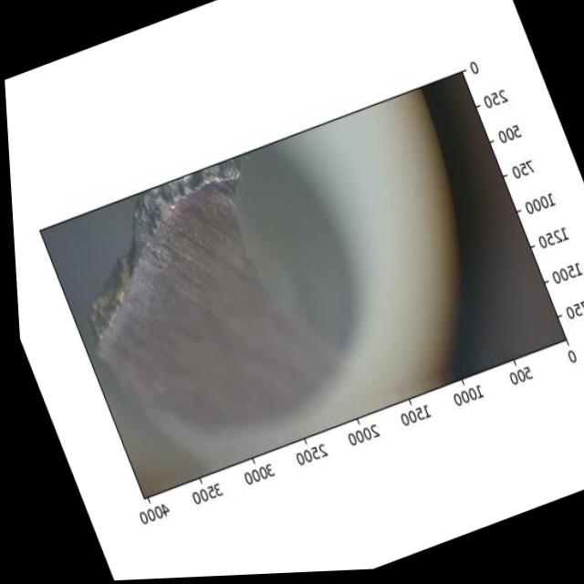 Dataset Image