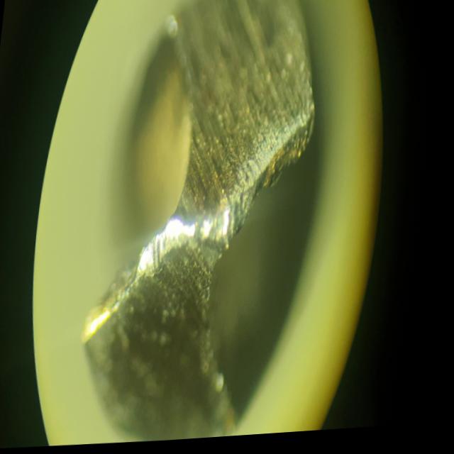 Dataset Image