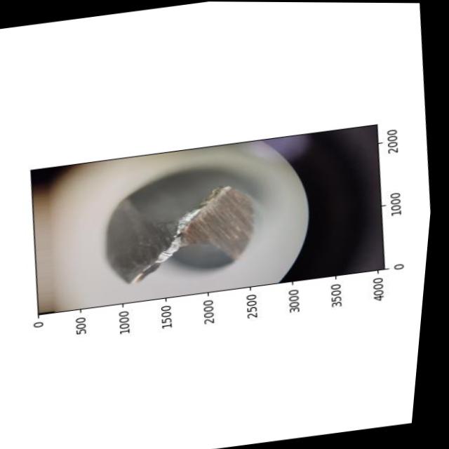 Dataset Image