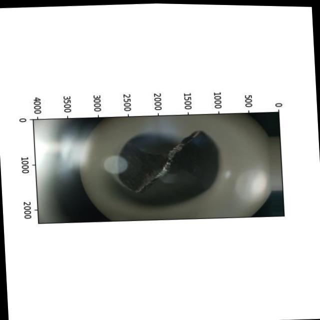 Dataset Image