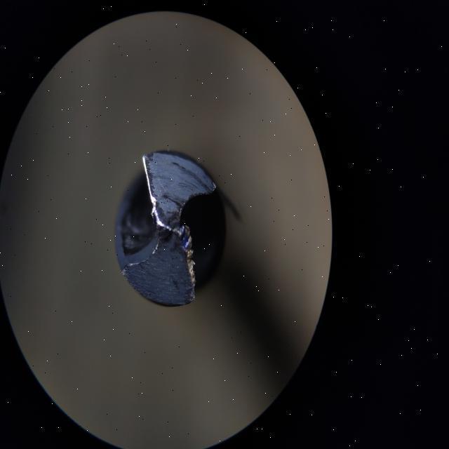 Dataset Image
