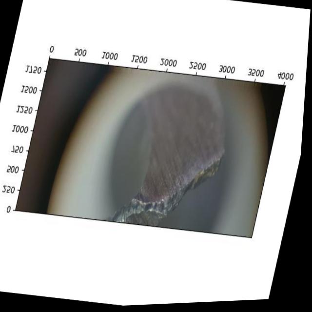 Dataset Image