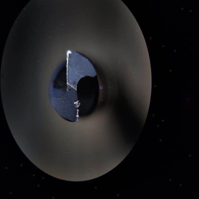 Dataset Image