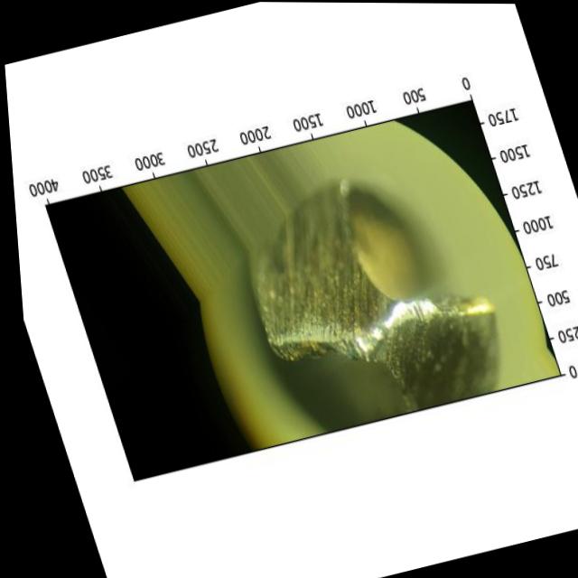 Dataset Image