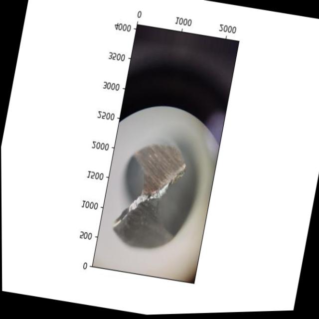 Dataset Image
