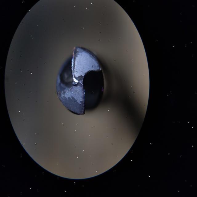 Dataset Image