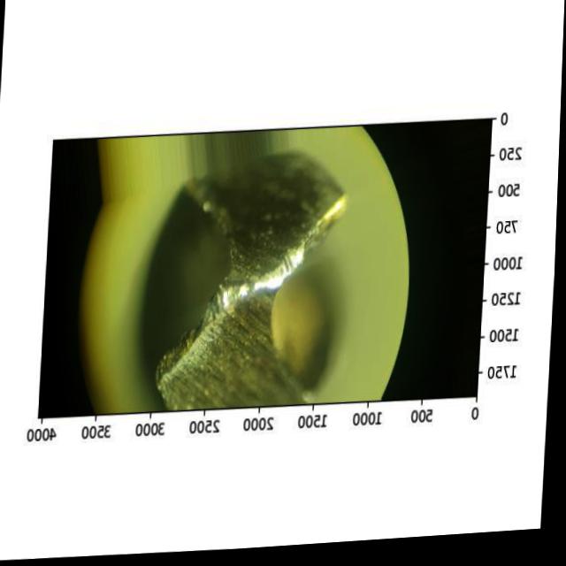 Dataset Image