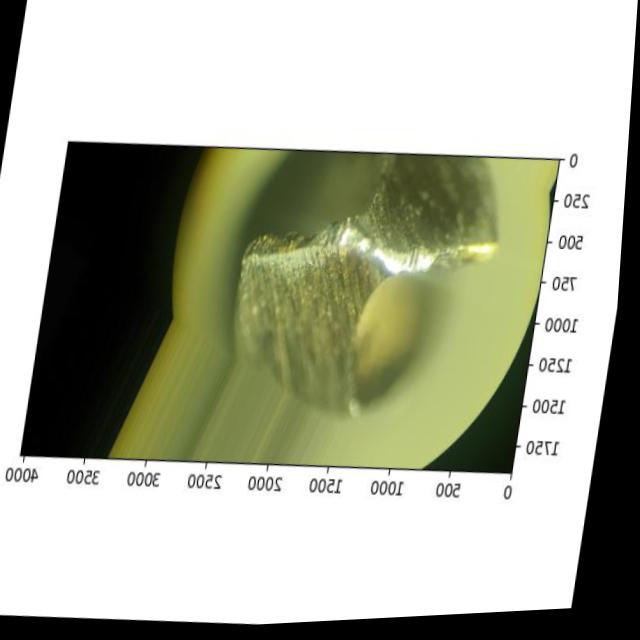 Dataset Image