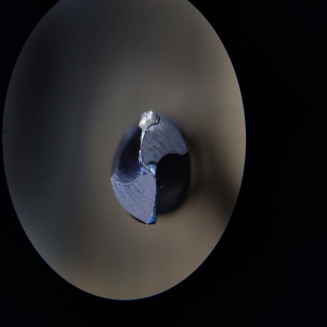 Dataset Image