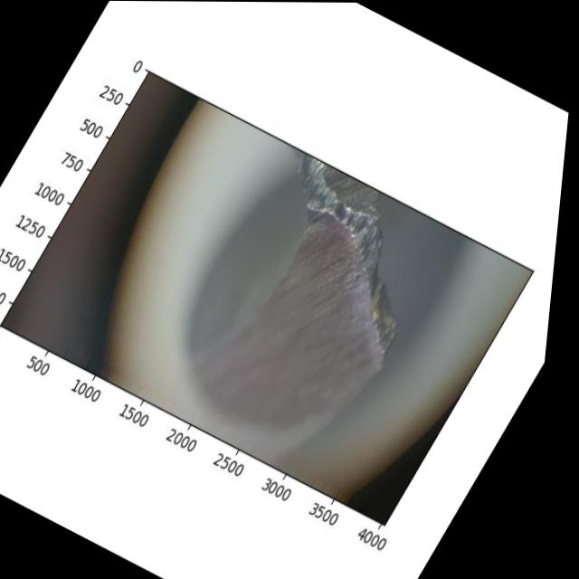 Dataset Image