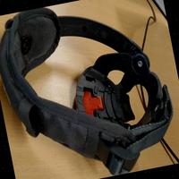 Dataset Image