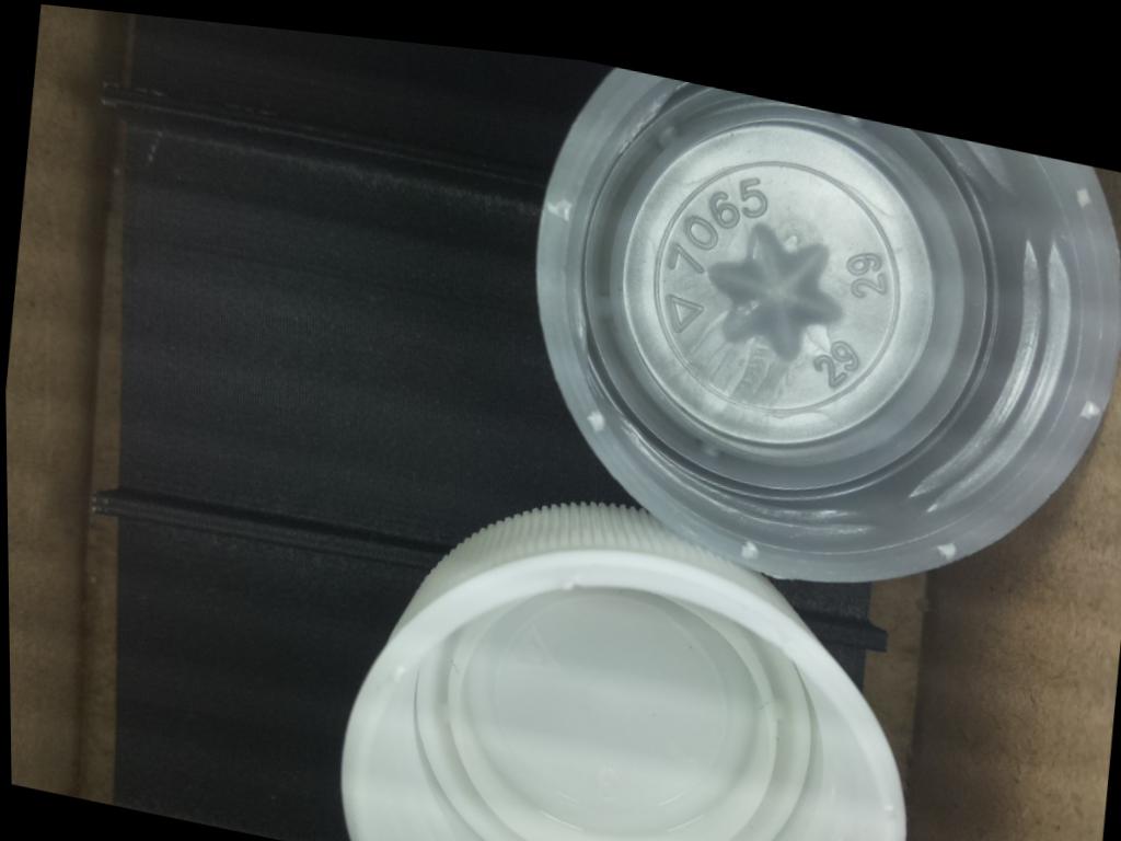 Dataset Image