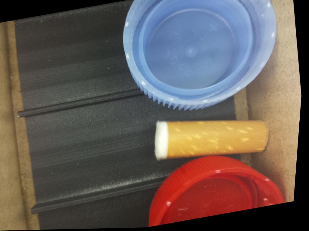 Dataset Image