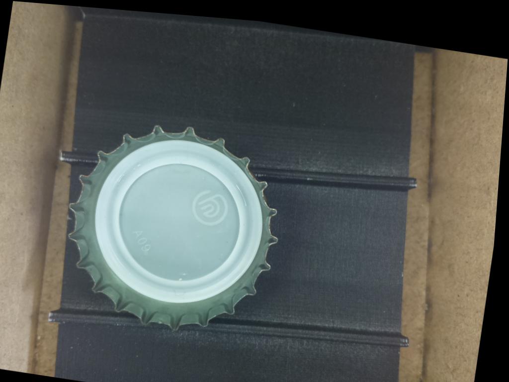 Dataset Image