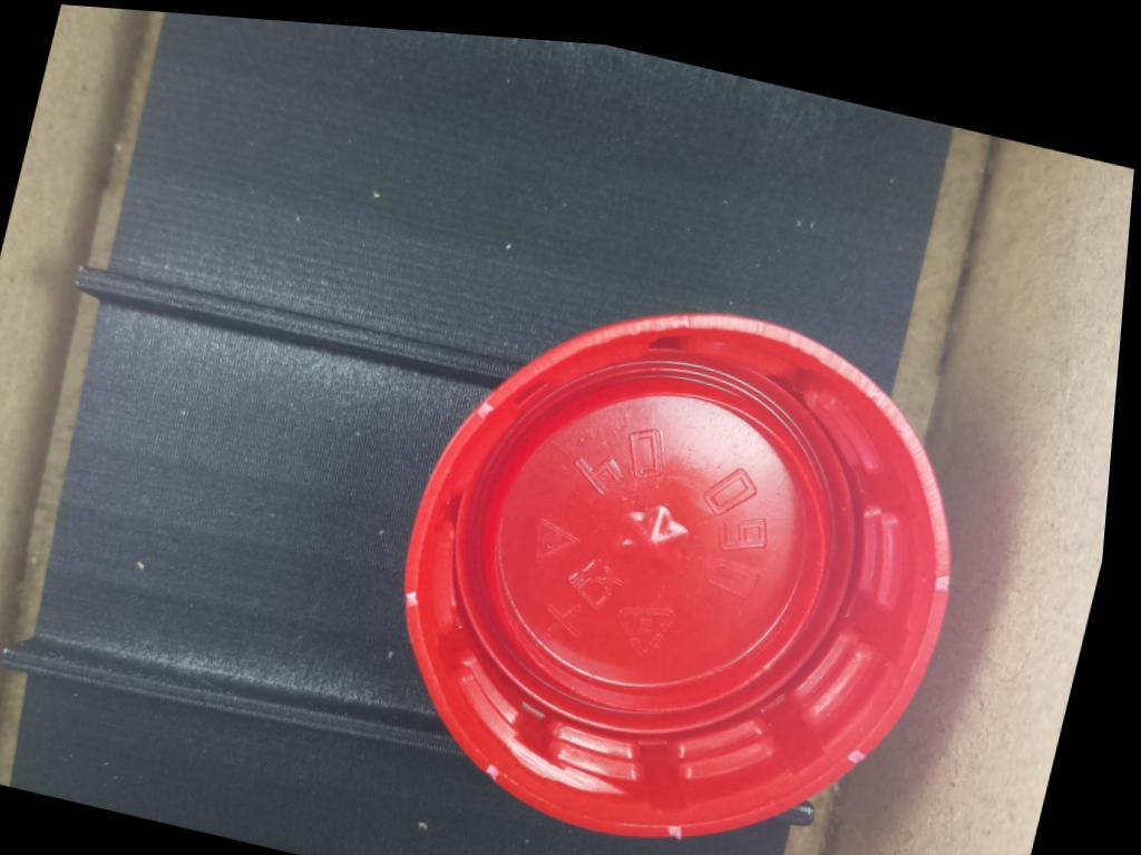 Dataset Image