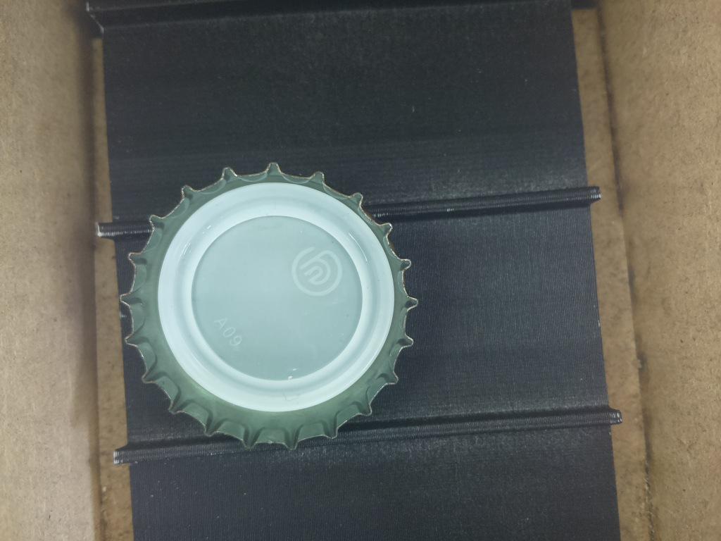 Dataset Image