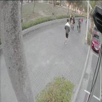 Dataset Image