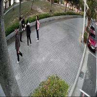 Dataset Image