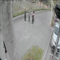Dataset Image