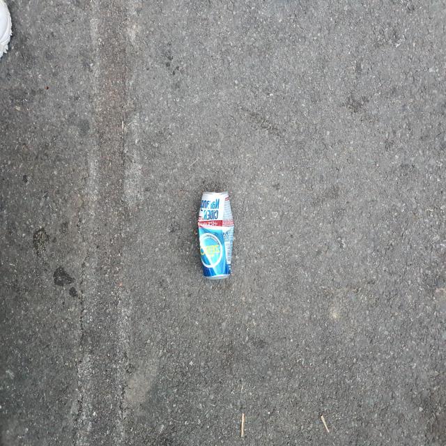 Dataset Image