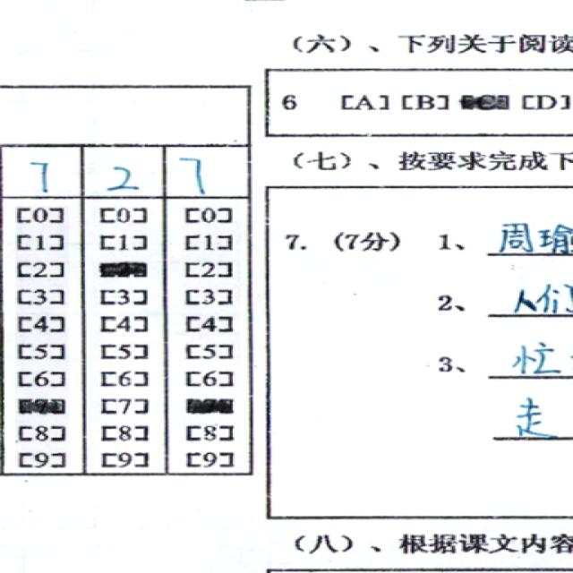 Dataset Image