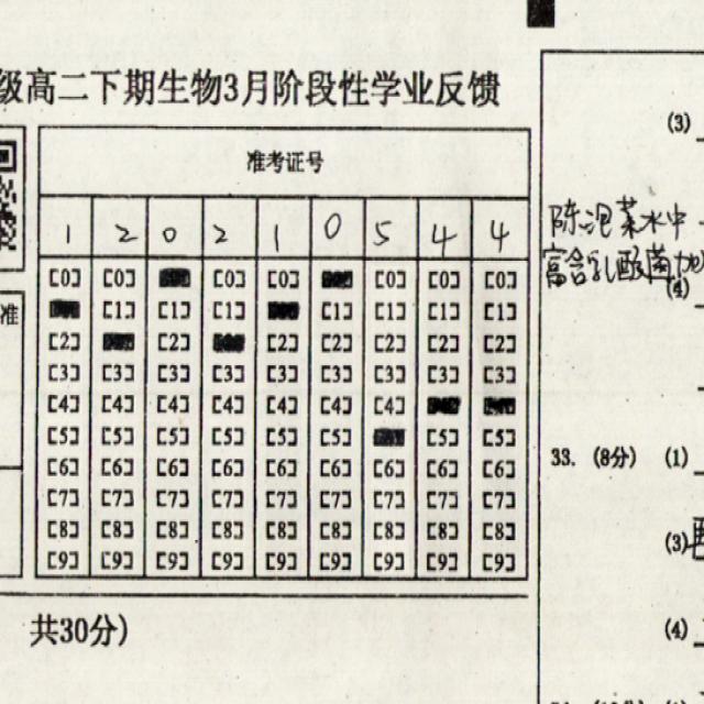 Dataset Image