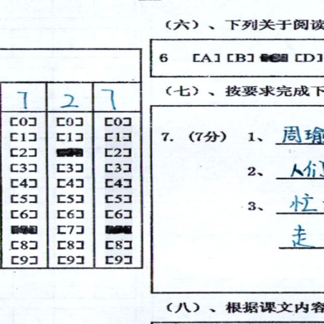 Dataset Image