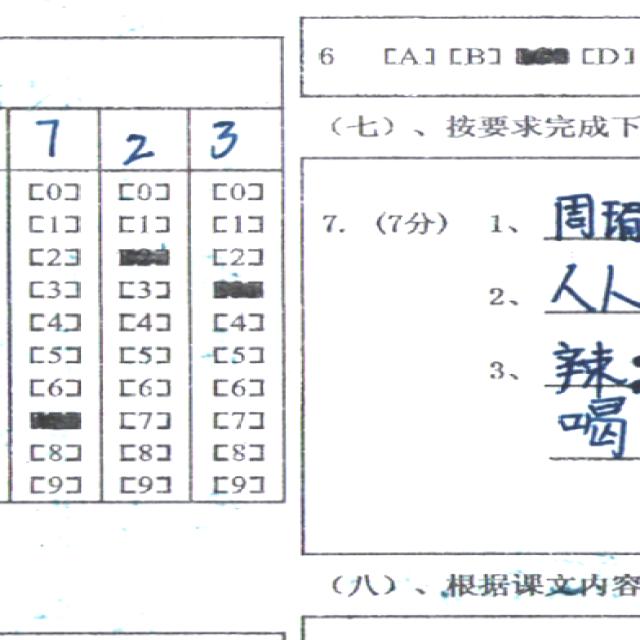 Dataset Image