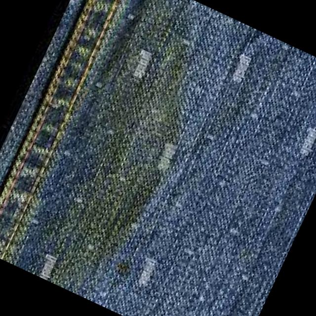 Dataset Image