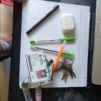 Dataset Image