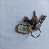 Dataset Image