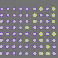 Annotation Visualization