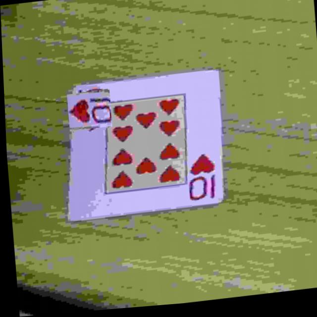 Dataset Image