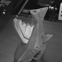 Dataset Image