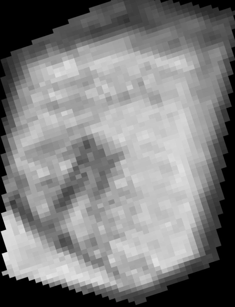 Dataset Image